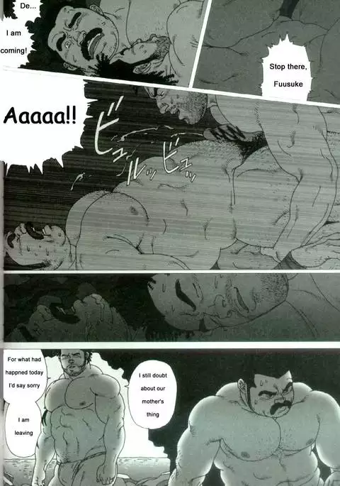 Harbour Frstival Passion