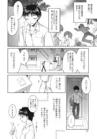 [Suzudama Renri] purple agate