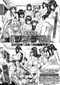 COMIC Megastore 2009-01