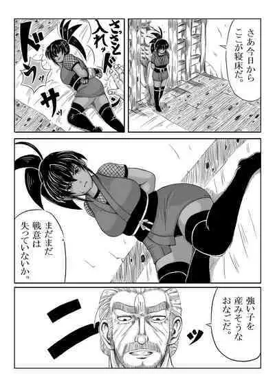 Ku no Ichi In Monogatari