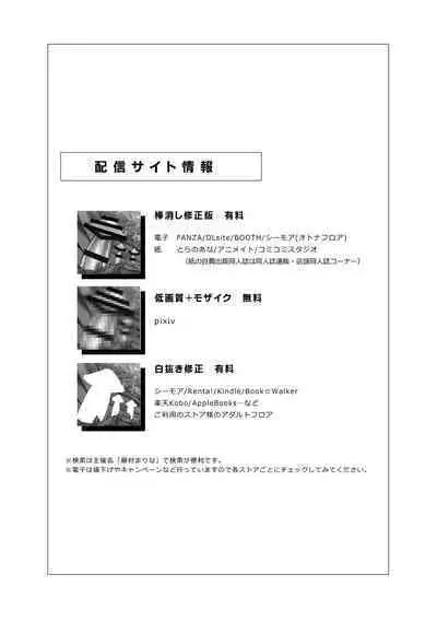 BOY x BOY IDOL COLLECTION! Vol.2