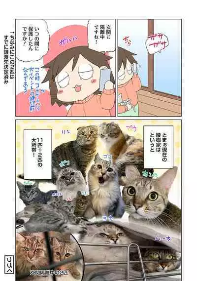 COMIC Ananga Ranga Vol. 91