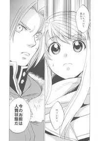 (COMIC1☆4) [Toko-ya (HEIZO, Kitoen)] ED×WIN 2 (Fullmetal Alchemist)