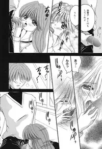 [Anthology] Pure Petit Vol. 4