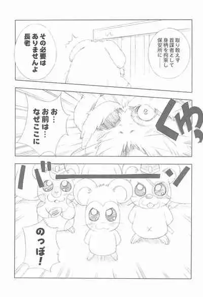 BATTLE FOR THE PLANET OF THE HAMS