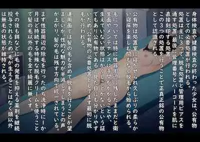 Public Property Sex Slave Girl Vol.02