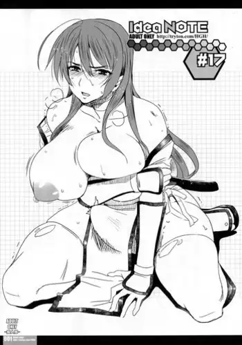 (CT28) [HGH (HG Chagawa)] idea NOTE #17 (Dead or Alive)
