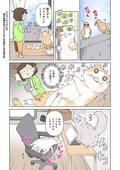 COMIC Ananga Ranga Vol. 71