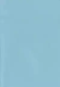 [Article 60 of Criminal Code (Shuhan)] Tuberose. (Skies of Arcadia)