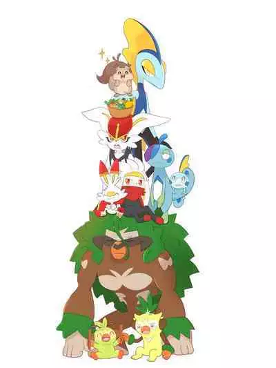 |宝可梦的故事(呜鸟木个人汉化组)