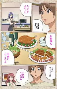 [Cyberworks/TinkerBell] Aniyome wa Ijippari #02 Complete Ban [Digital]