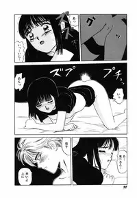 [SABE] Sho Taiken Hakusho (Last Volume)