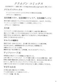 (C70) [Crimson Comics (Crimson)] Midasareshi Onna Madoushi Soushuuhen (Dragon Quest VIII)