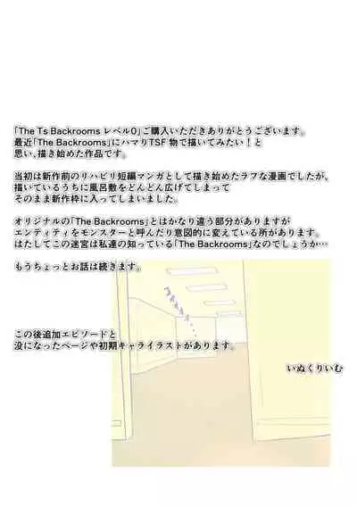 The Ts Backrooms Level 0