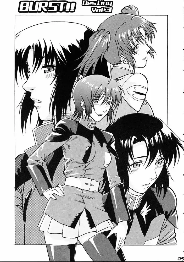 Gundam Seed - Burst!! Vol. 3