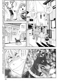 COMIC Men's Young 2006-11