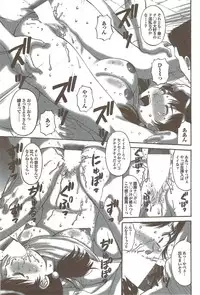 COMIC Purumelo 2009-11 Vol.35