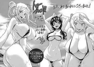 [Fukudahda] Honey Blonde Toranoana Gentei Shousasshi Mini Settei Shiryoushuu