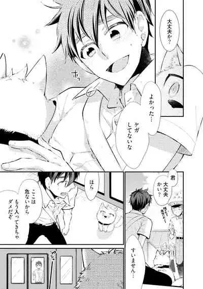 Wolves and Erotic Things