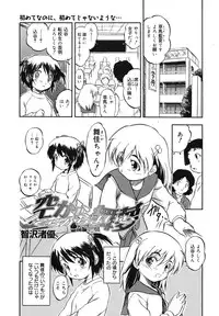 COMIC Megamilk 2010-11 Vol. 05