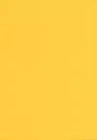 [Kaiduka] Chi Chi Yell