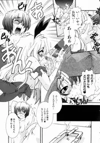 COMIC AUN 2004-11 Vol. 102