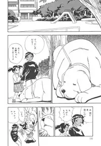 [Penicillin XI] Panchii