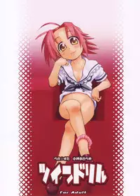 (C72) [USO Seisakujo (Solomon K)] Twin Drill (Lucky Star)