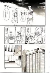 [Dai 25 Hohei Shidan] Towns Sweeper