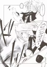 (C67) [Circle Credit (Akikan, Muichimon, Benjamin)] Panic (Final Fantasy XI)