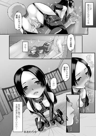 COMIC Mate Legend Vol. 36 2020-12 [Digital]