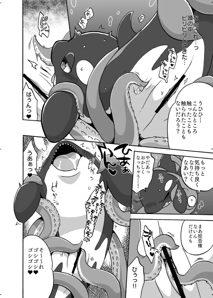 Shachi Ero wa Ikaga!?