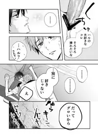 [ABee (Hachi Fujiko)] Iwatobi chanto! (Free!) [Digital]
