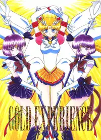 (C58) [BLACK DOG (Kuroinu Juu)] Gold Experience (Sailor Moon) [English] {Tithonium}