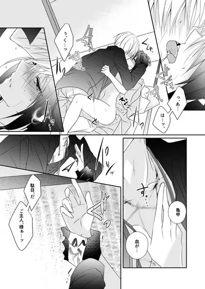 'Kikkou Sadamune ni Shikotama Biyaku o Motta Hon.'