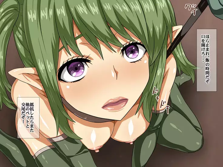 Orc no Kachiku ni Naru Elf no Kishi-tachi