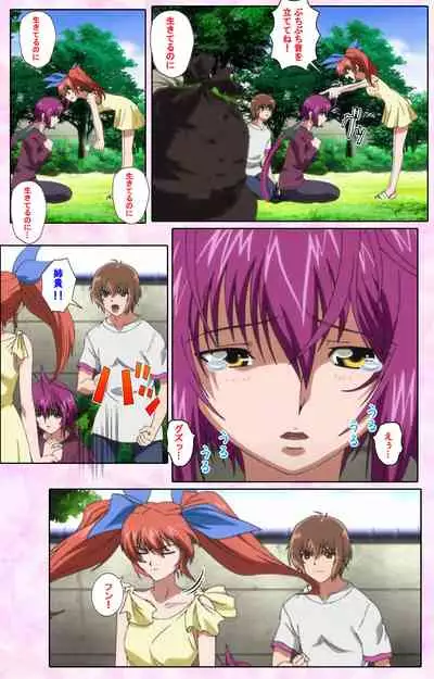 Nee, Chanto Shiyou yo! kanzenhan