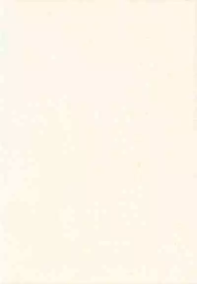 Kirisame Roman Porno