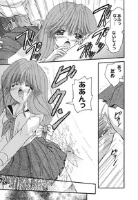 [Anthology] Pure Petit Vol. 4