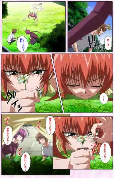 Nee, Chanto Shiyou yo! kanzenhan