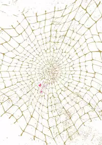 [Anthology] Pink Gold 5