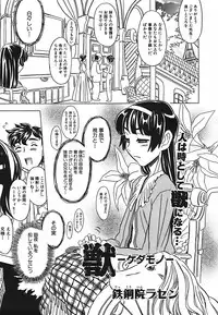 [Gorgeous Takarada] Cannon Sensei Tobashisugi