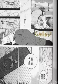 生化危机：终结 [中文]