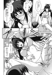 (C81) [Type-G (Ishigaki Takashi)] Broom on the Frontline (Infinite Stratos)