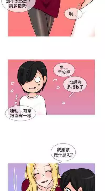 小野貓馴服手冊