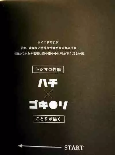 CherryTart (Anna Kotori) seiheki kōkangokko/itamen no o heya (Fullmetal Alchemist)