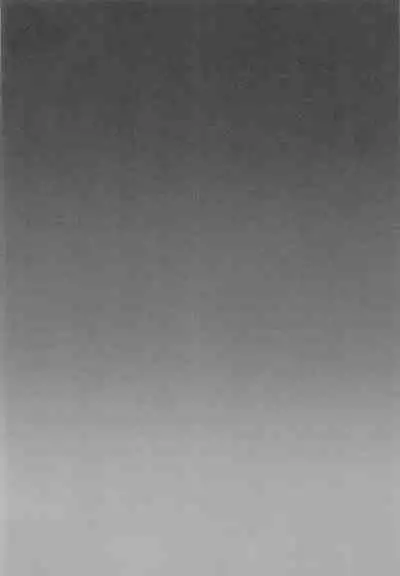 DQN Saimin Mesu Otoshi