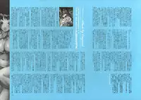 [Nishieda] Dendrobium