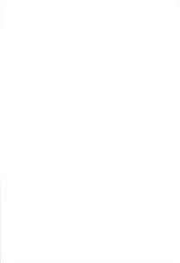 (C83) [Gainamon (Natsu no Koucha)] Nichijou Seikatsu - Rei - (Touhou Project)