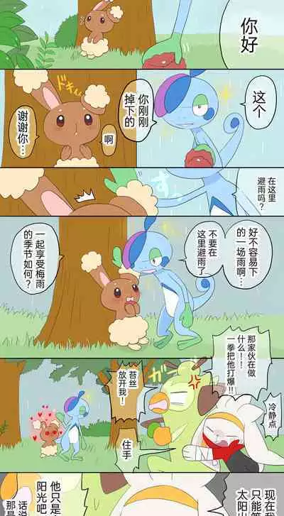 |宝可梦的故事(呜鸟木个人汉化组)